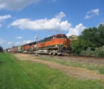 BNSF 1019